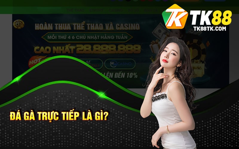 Đá Gà Trực Tiếp Là Gì