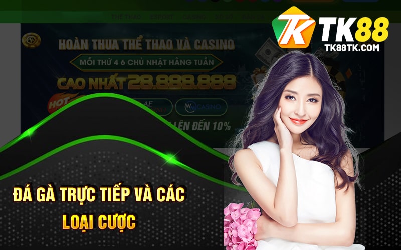 Đá Gà Trực Tiếp và Các Loại Cược