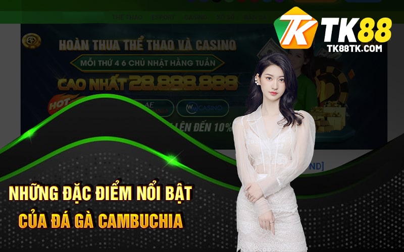 Những Đặc Điểm Nổi Bật Của Đá Gà Cambuchia