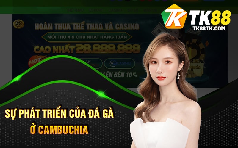 Sự Phát Triển Của Đá Gà Ở Cambuchia